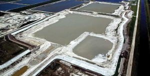 Photo courtesy of Palm Beach Aggregates