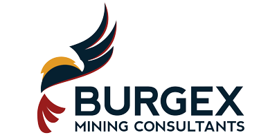 Burgex logo