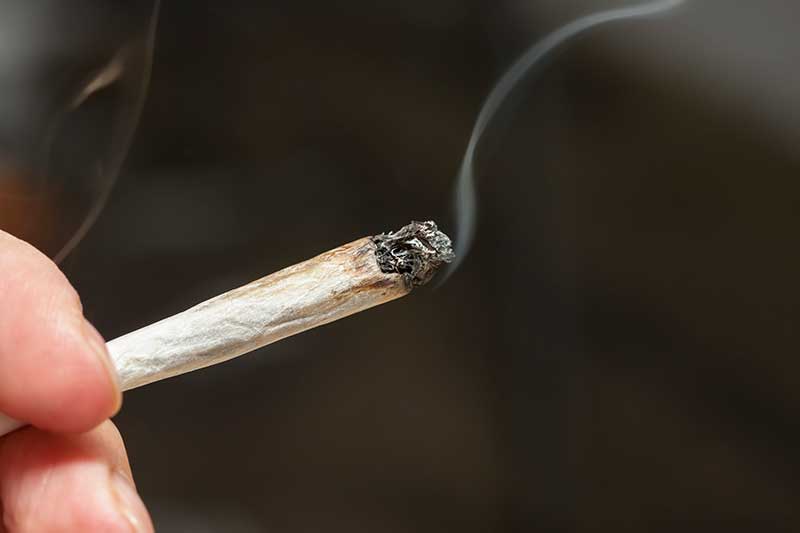 States allow employers to have policies that prohibit the use of marijuana on the job, but some states are more favorable to employees than they are employers. Photo: Mirjana Ristic/iStock / Getty Images Plus/Getty Images