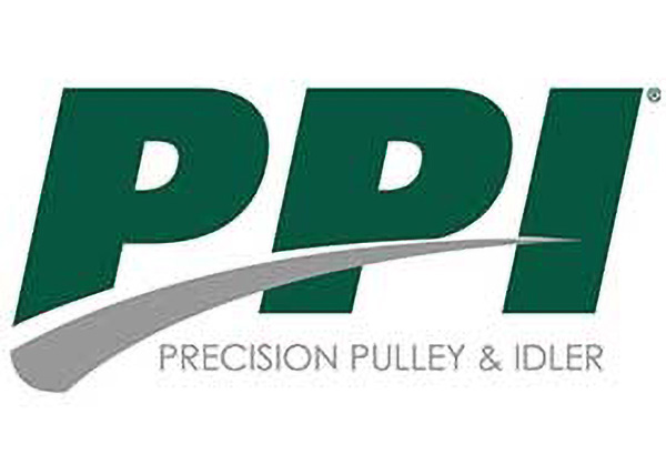 PPI logo