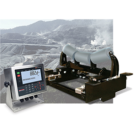 Photo: Rice Lake Weighing Systems