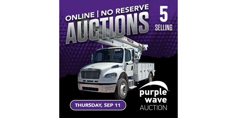 Photo: Purple Wave Auction